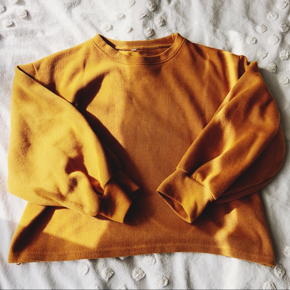 🌾 comfy crewneck 🌾